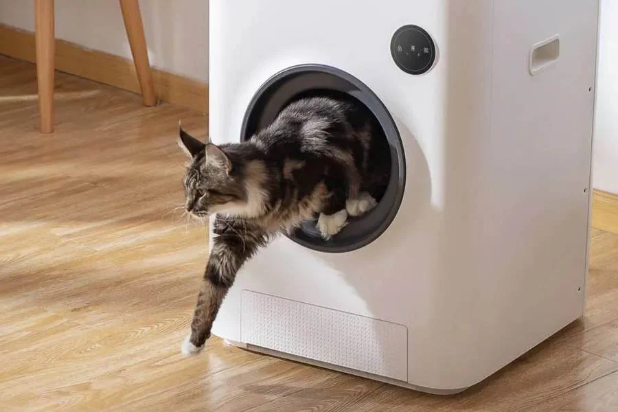 automatic litter box for cats